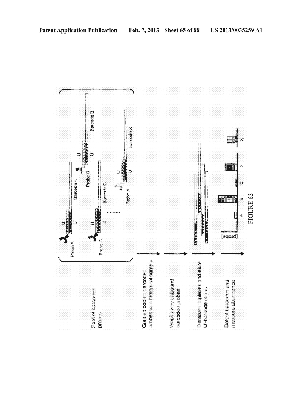 Methods and/or Systems Producing and Providing Sets of Oligonucleotide     Conjugates for Assays and Detections - diagram, schematic, and image 66