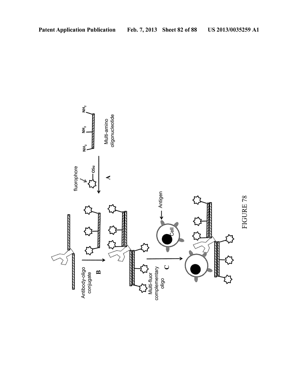 Methods and/or Systems Producing and Providing Sets of Oligonucleotide     Conjugates for Assays and Detections - diagram, schematic, and image 83