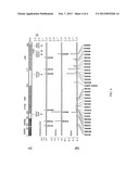 GENES INVOLVED IN INFLAMMATORY BOWEL DISEASES AND USE THEREOF diagram and image