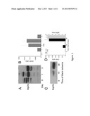 Chitinase-3-Like Protein 1 as a Biomarker of Recovery from Kidney Injury diagram and image