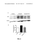 USE OF YESSOTOXIN AND ANALOGUES AND DERIVATIVES THEREOF FOR TREATING     AND/OR PREVENTING NEURODEGENERATIVE DISEASES LINKED TO TAU AND BETA     AMYLOID diagram and image