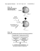 SMALL MOLECULES FOR THE MODULATION OF MCL-1 AND METHODS OF MODULATING CELL     DEATH, CELL DIVISION, CELL DIFFERENTIATION AND METHODS OF TREATING     DISORDERS diagram and image