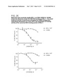 SMALL MOLECULES FOR THE MODULATION OF MCL-1 AND METHODS OF MODULATING CELL     DEATH, CELL DIVISION, CELL DIFFERENTIATION AND METHODS OF TREATING     DISORDERS diagram and image