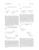 Piperidine and Piperazine Phenyl Sulfonamides as Modulators of Ion     Channels diagram and image