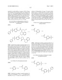 Piperidine and Piperazine Phenyl Sulfonamides as Modulators of Ion     Channels diagram and image