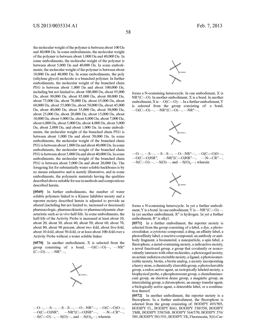 INHIBITORS OF BRUTON'S TYROSINE KINASE - diagram, schematic, and image 66