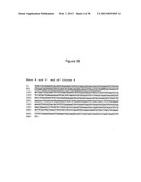 Anti-sense oligonucleotides targeted against exon 9 of IL-23R alpha gene     and method of using same to induce exon skipping and to treat     inflammatory bowel diseases diagram and image