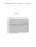 Anti-sense oligonucleotides targeted against exon 9 of IL-23R alpha gene     and method of using same to induce exon skipping and to treat     inflammatory bowel diseases diagram and image