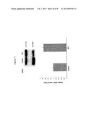 Anti-sense oligonucleotides targeted against exon 9 of IL-23R alpha gene     and method of using same to induce exon skipping and to treat     inflammatory bowel diseases diagram and image