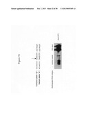 Anti-sense oligonucleotides targeted against exon 9 of IL-23R alpha gene     and method of using same to induce exon skipping and to treat     inflammatory bowel diseases diagram and image