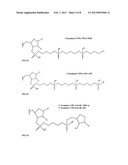 OLIGONUCLEOTIDE COMPOUNDS COMPRISING NON-NUCLEOTIDE OVERHANGS diagram and image