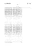 COMPOSITIONS AND METHODS FOR MODULATION OF LMNA EXPRESSION diagram and image