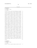 COMPOSITIONS AND METHODS FOR MODULATION OF LMNA EXPRESSION diagram and image