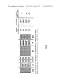 MCP-1 binding nucleic acids diagram and image