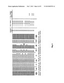 MCP-1 binding nucleic acids diagram and image