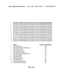 MCP-1 binding nucleic acids diagram and image