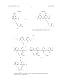 Calixarene-Based Peptide Conformation Mimetics, Methods of Use, and     Methods of Making diagram and image