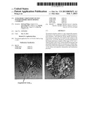 Tetrameric Streptavidin Mutein With Reversible Biotin Binding Capability diagram and image