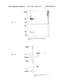 Tetrameric Streptavidin Mutein With Reversible Biotin Binding Capability diagram and image