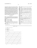 Tetrameric Streptavidin Mutein With Reversible Biotin Binding Capability diagram and image