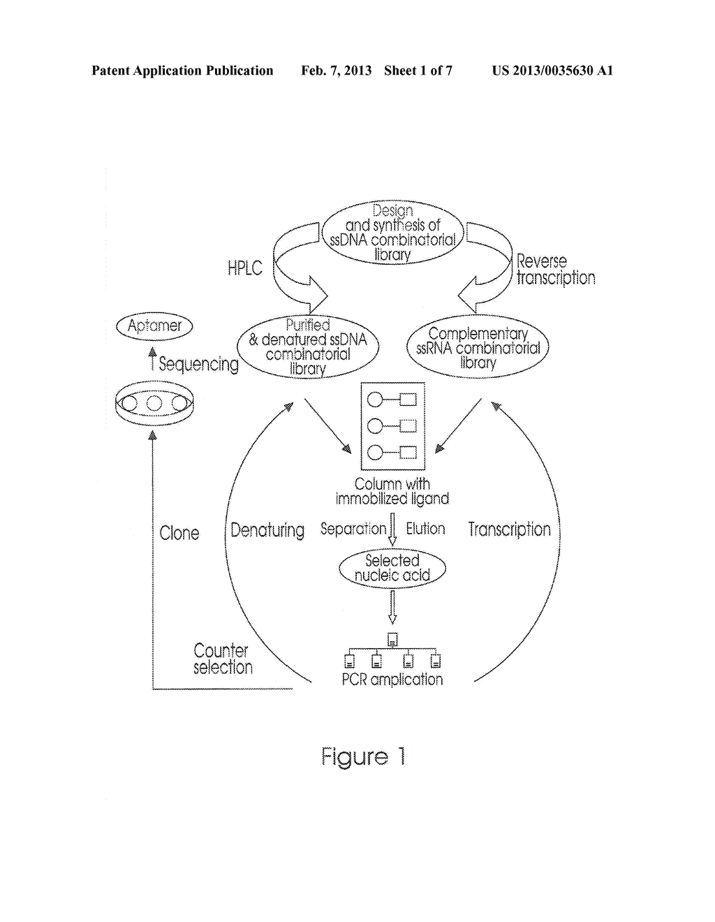 Aptamer for the Capture, Diagnosis, Enumeration, and Eradication of     Circulating Tumor Cells - diagram, schematic, and image 02