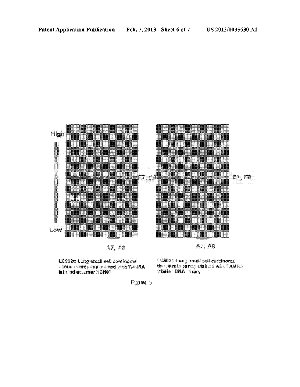 Aptamer for the Capture, Diagnosis, Enumeration, and Eradication of     Circulating Tumor Cells - diagram, schematic, and image 07