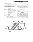 DEVICES AND METHODS FOR VESSEL OCCLUSION diagram and image