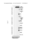 PRODUCTION OF CHEMICALS AND FUELS FROM BIOMASS diagram and image