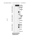 PRODUCTION OF CHEMICALS AND FUELS FROM BIOMASS diagram and image