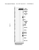 PRODUCTION OF CHEMICALS AND FUELS FROM BIOMASS diagram and image