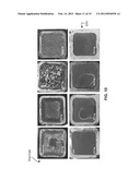 METHODS AND SYSTEMS FOR ELECTROPHORETIC DEPOSITION OF ENERGETIC MATERIALS     AND COMPOSITIONS THEREOF diagram and image