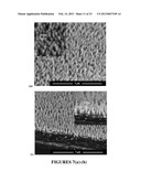 METHODS OF MAKING ORGANIC PHOTOVOLTAIC CELLS HAVING IMPROVED     HETEROJUNCTION MORPHOLOGY diagram and image