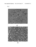 POLYMERIZATION FLUID, METHOD FOR PRODUCING THE POLYMERIZATION FLUID,     TRANSPARENT FILM AND TRANSPARENT ELECTRODE MADE FROM THE POLYMERIZATION     FLUID diagram and image