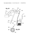 Devices and methods for cryo lift-out with in situ probe diagram and image