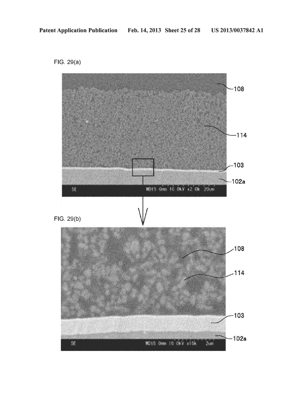 LIGHT EMITTING DEVICE AND METHOD FOR MANUFACTURING LIGHT EMITTING DEVICE - diagram, schematic, and image 26