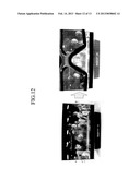 MULTI-VIEW DISPLAY DEVICE diagram and image