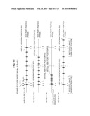 IMAGE PROCESSING APPARATUS, IMAGE PROCESSING METHOD, AND PROGRAM diagram and image