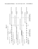 IMAGE PROCESSING APPARATUS, IMAGE PROCESSING METHOD, AND PROGRAM diagram and image