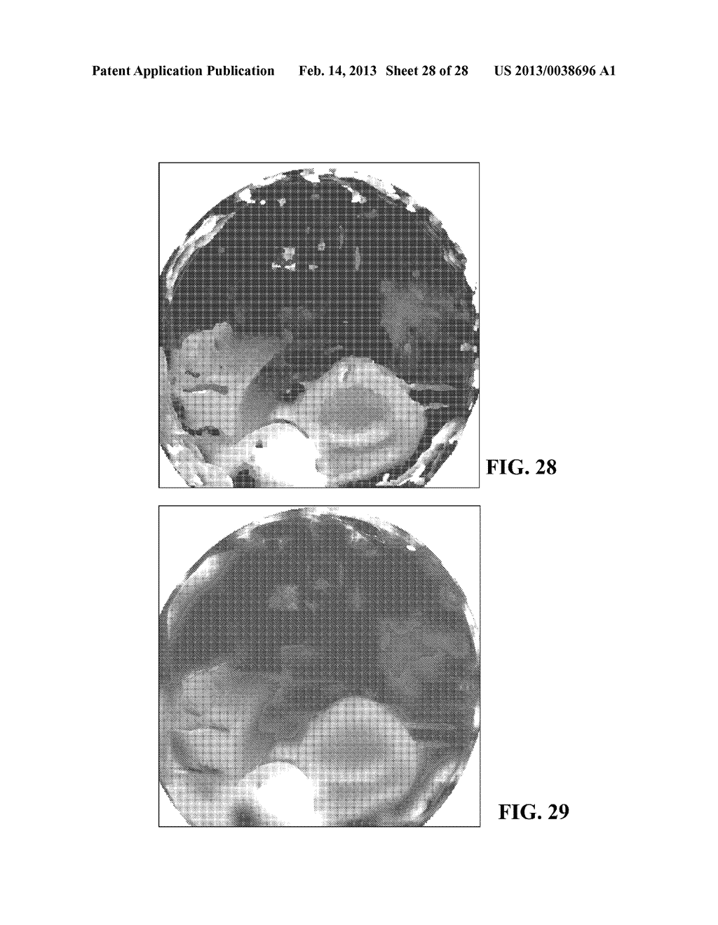 Ray Image Modeling for Fast Catadioptric Light Field Rendering - diagram, schematic, and image 29