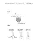 ILLUMINATION OPTICAL SYSTEM AND A PROJECTOR USING THE SAME diagram and image