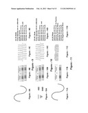 BIDIRECTIONAL MULTIMODE POWER CONVERTER diagram and image