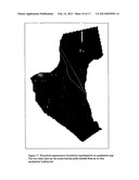 METHODS FOR THE COMPENSATION OF IMAGING TECHNIQUE IN THE PROCESSING OF     RADIOGRAPHIC IMAGES diagram and image