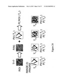 METHODS FOR THE COMPENSATION OF IMAGING TECHNIQUE IN THE PROCESSING OF     RADIOGRAPHIC IMAGES diagram and image