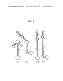 APTAMER TO FGF2 AND USE THEREOF diagram and image