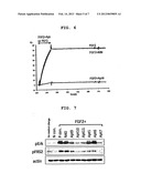 APTAMER TO FGF2 AND USE THEREOF diagram and image