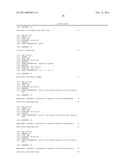 APTAMER TO FGF2 AND USE THEREOF diagram and image