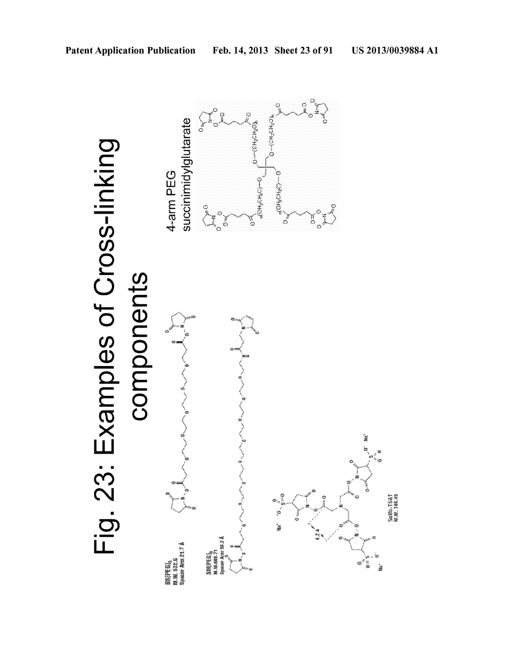 COMPOSITIONS AND METHODS FOR IMPROVING PRODUCTION OF RECOMBINANT     POLYPEPTIDES - diagram, schematic, and image 24