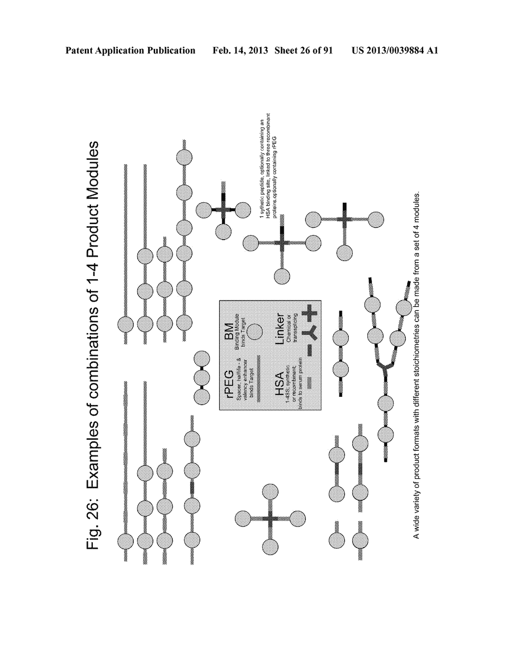 COMPOSITIONS AND METHODS FOR IMPROVING PRODUCTION OF RECOMBINANT     POLYPEPTIDES - diagram, schematic, and image 27