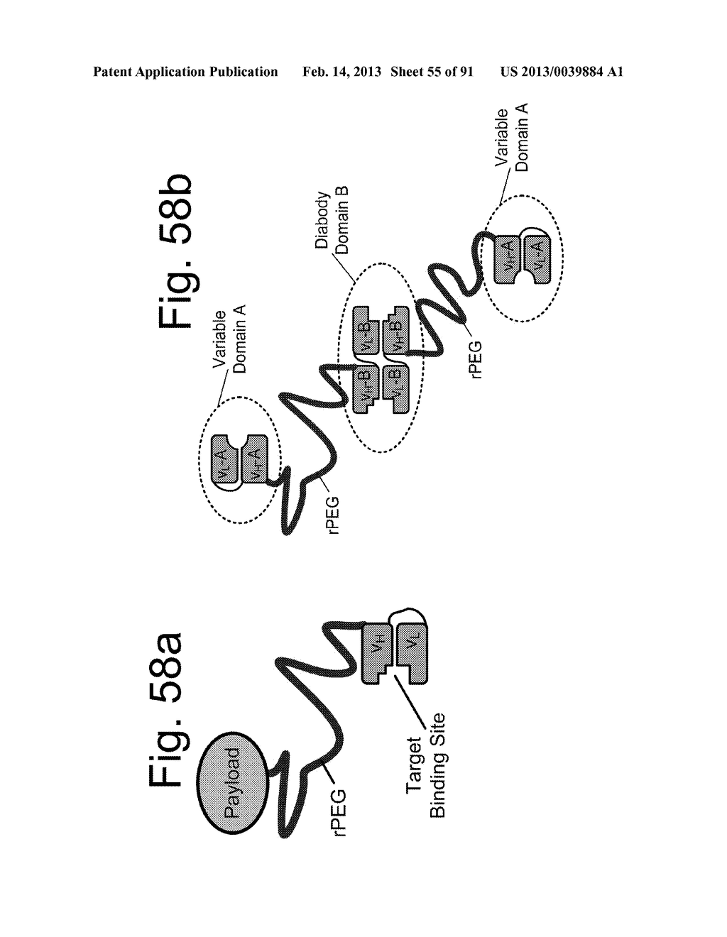 COMPOSITIONS AND METHODS FOR IMPROVING PRODUCTION OF RECOMBINANT     POLYPEPTIDES - diagram, schematic, and image 56