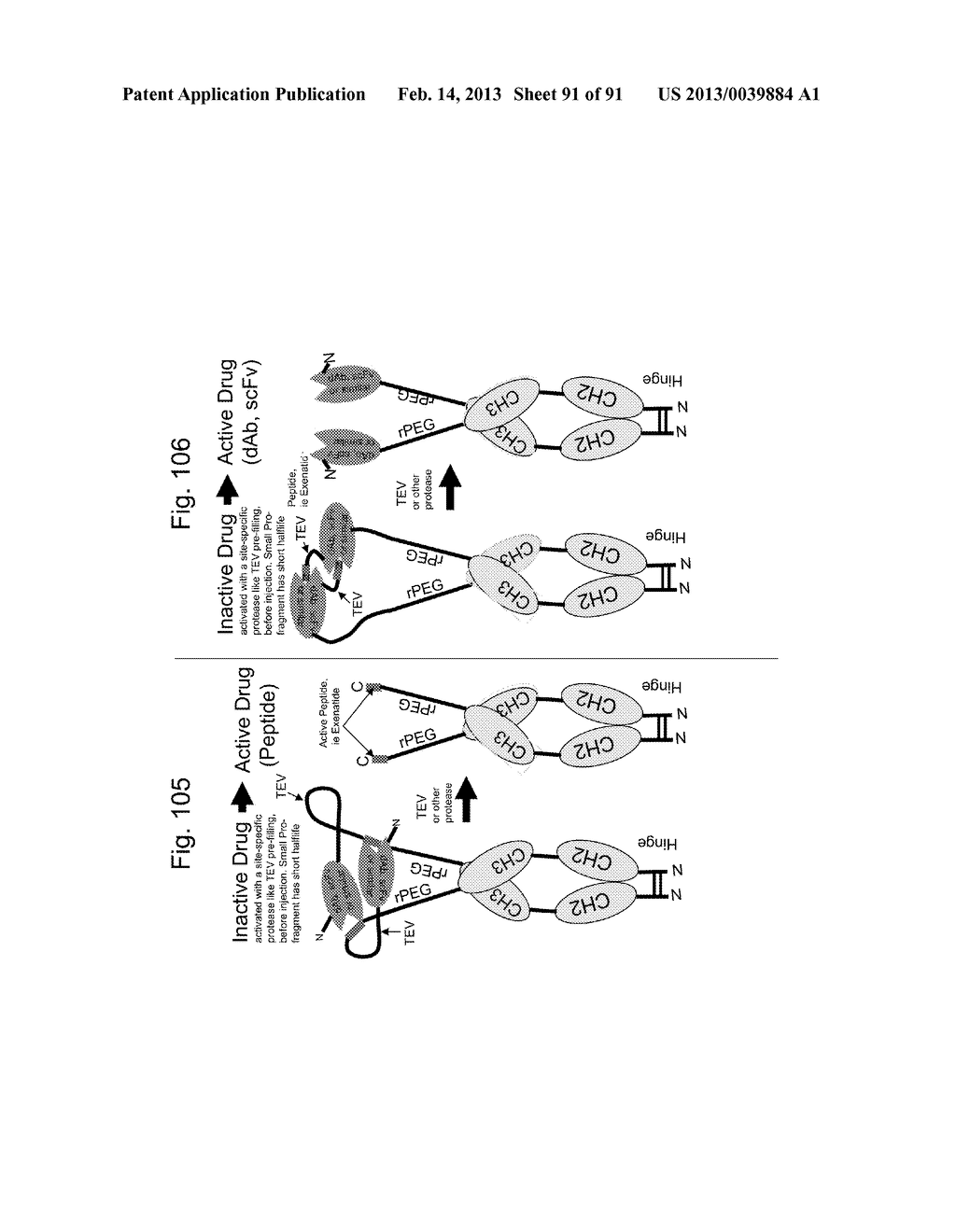 COMPOSITIONS AND METHODS FOR IMPROVING PRODUCTION OF RECOMBINANT     POLYPEPTIDES - diagram, schematic, and image 92